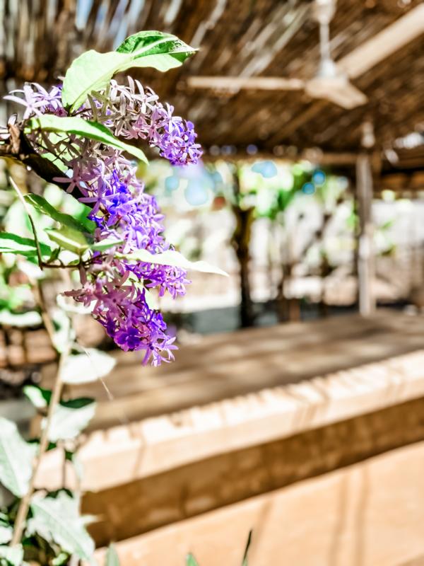 Hotel Sansibar: Boutique-Hotel Green Ocean Zanzibar