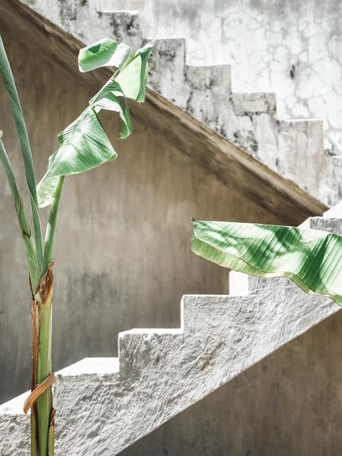 Hotel Sansibar: Boutique-Hotel Green Ocean Zanzibar